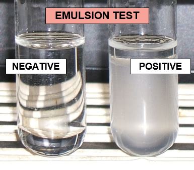 emulsion test|emulsion food test positive.